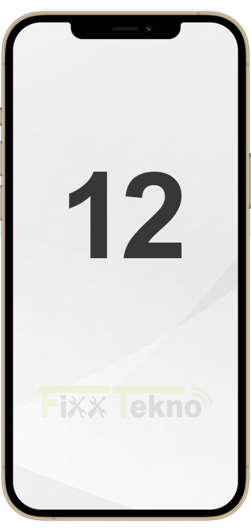 iPhone 12