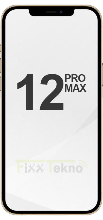 iPhone 12 Pro Max